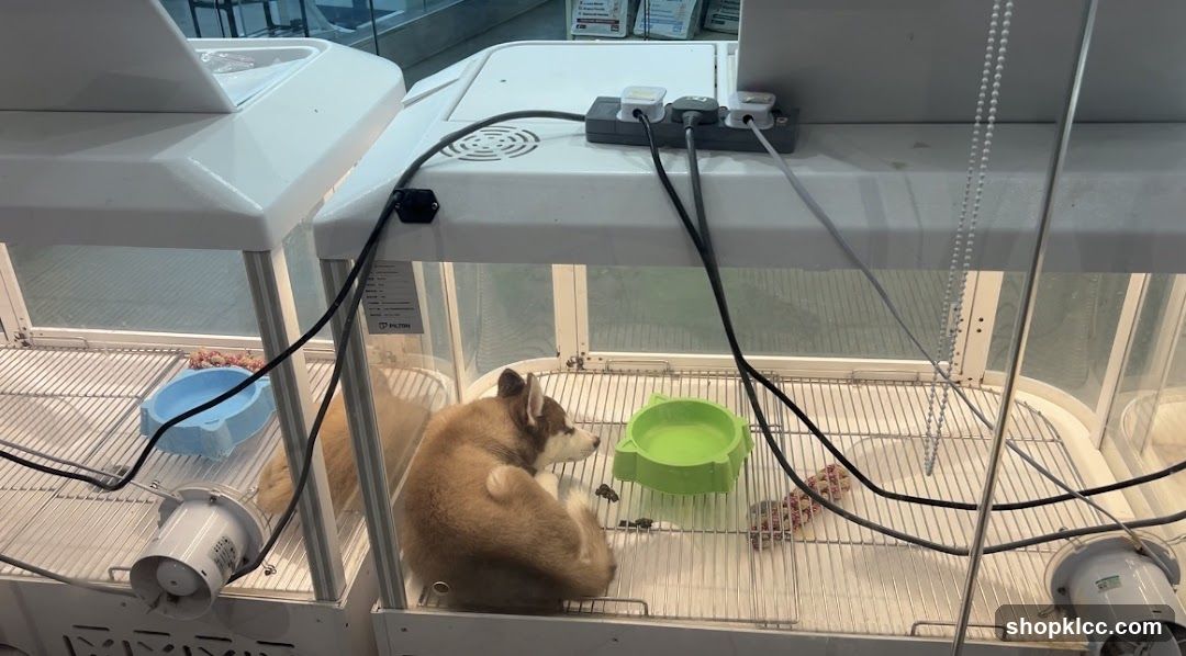 Pet Lovers Centre