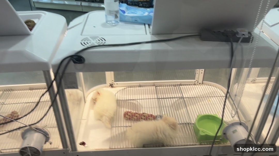 Pet Lovers Centre