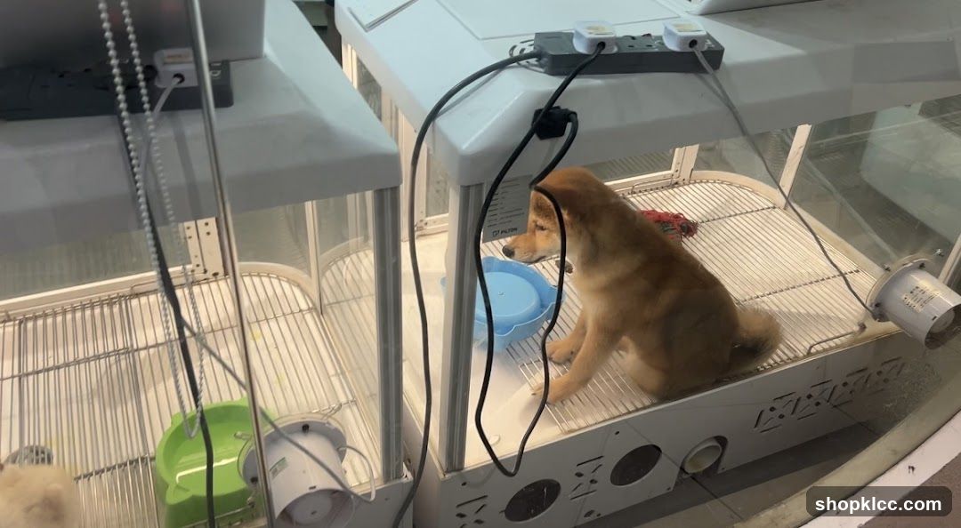 Pet Lovers Centre
