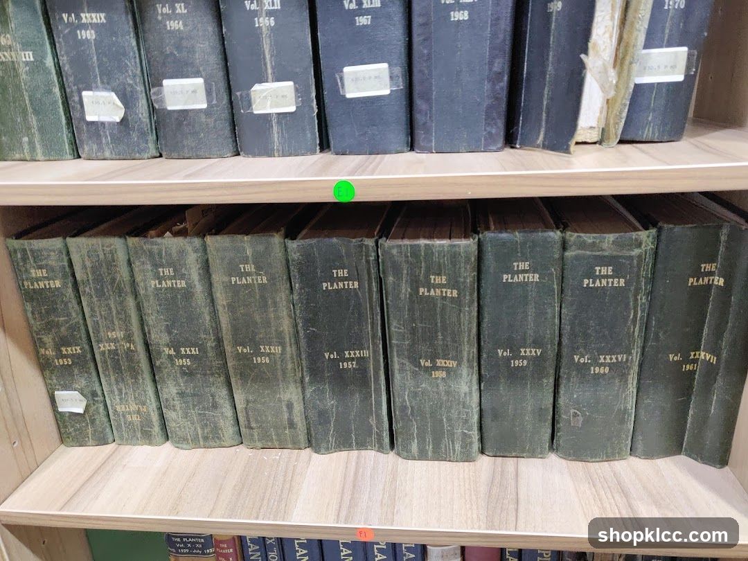 Books on Shelves