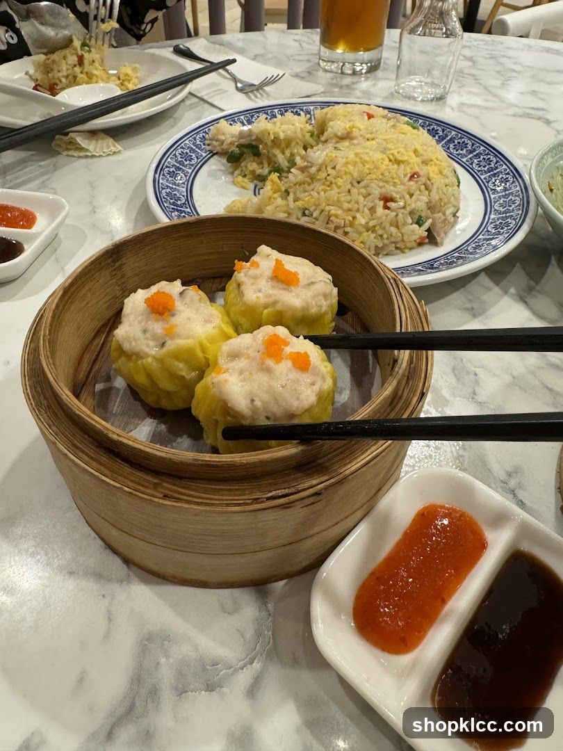 Dim Sum and Fried Rice