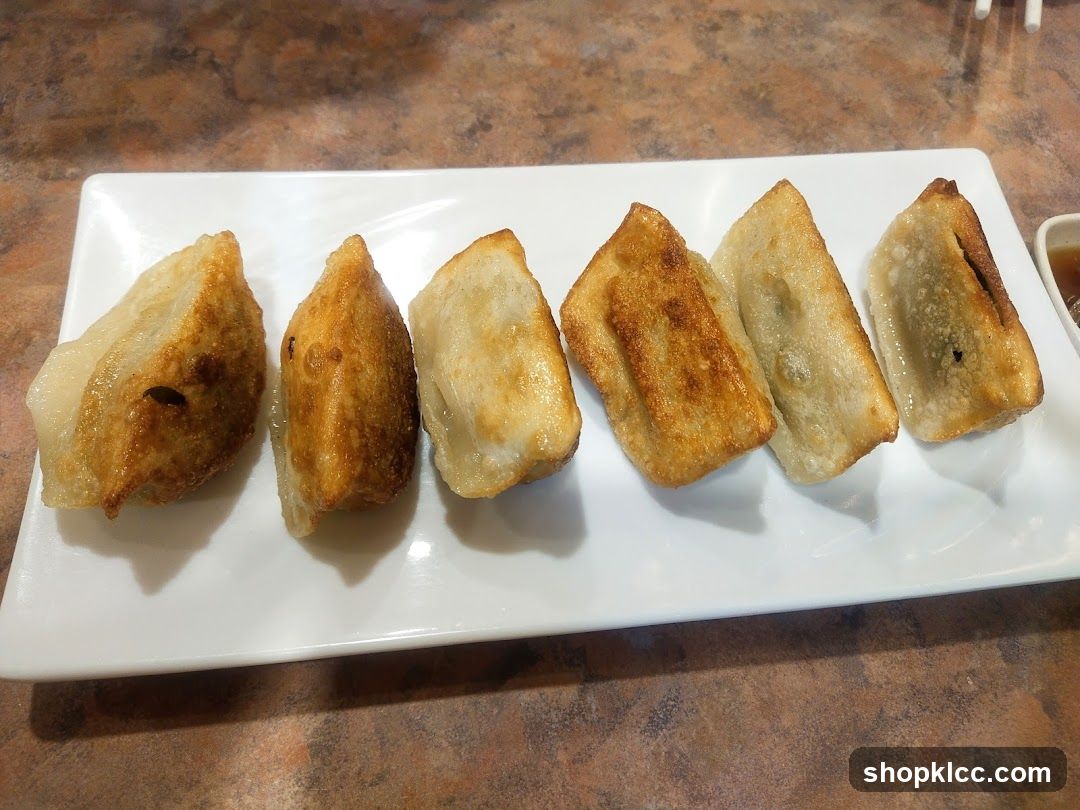 Pan-Fried Dumplings