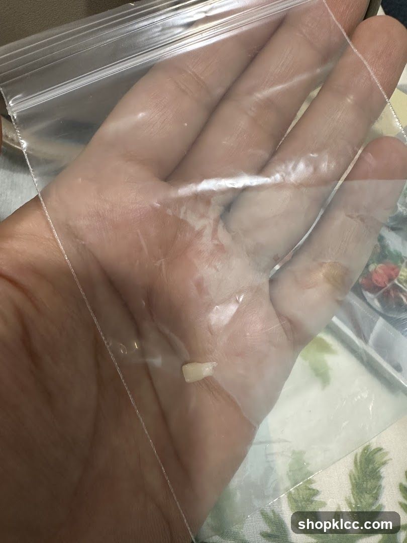 Tooth in a Bag
