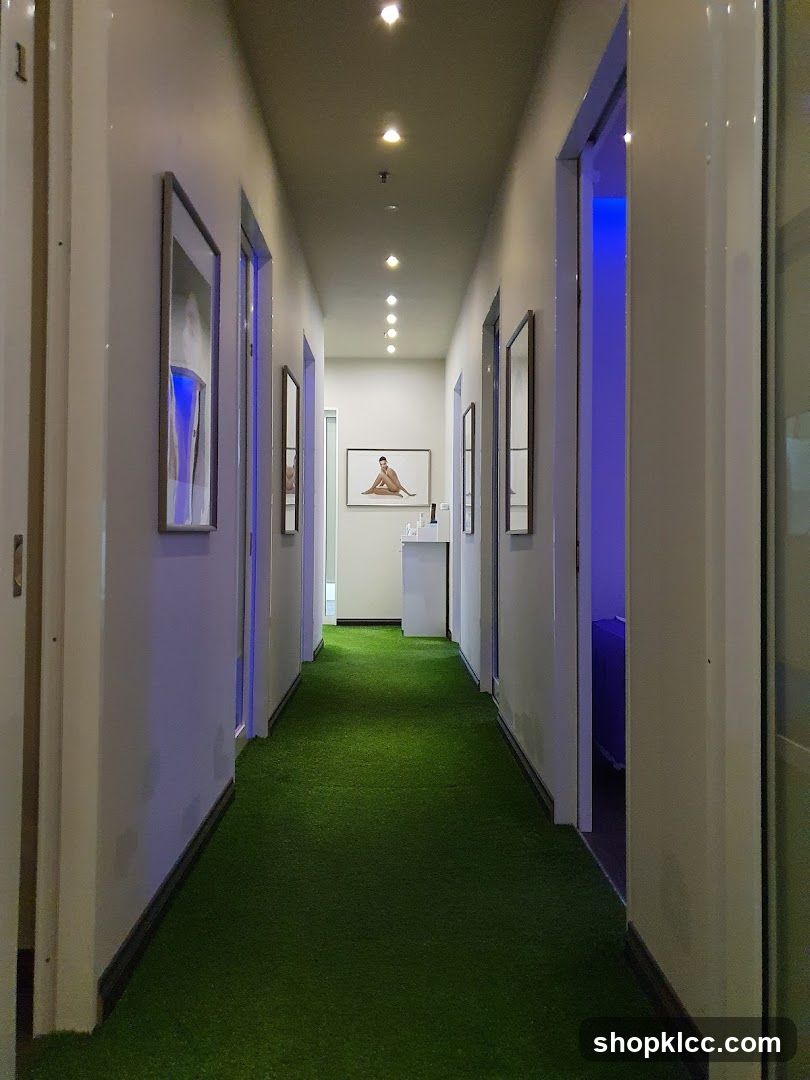 Hallway with Artificial Grass Carpet