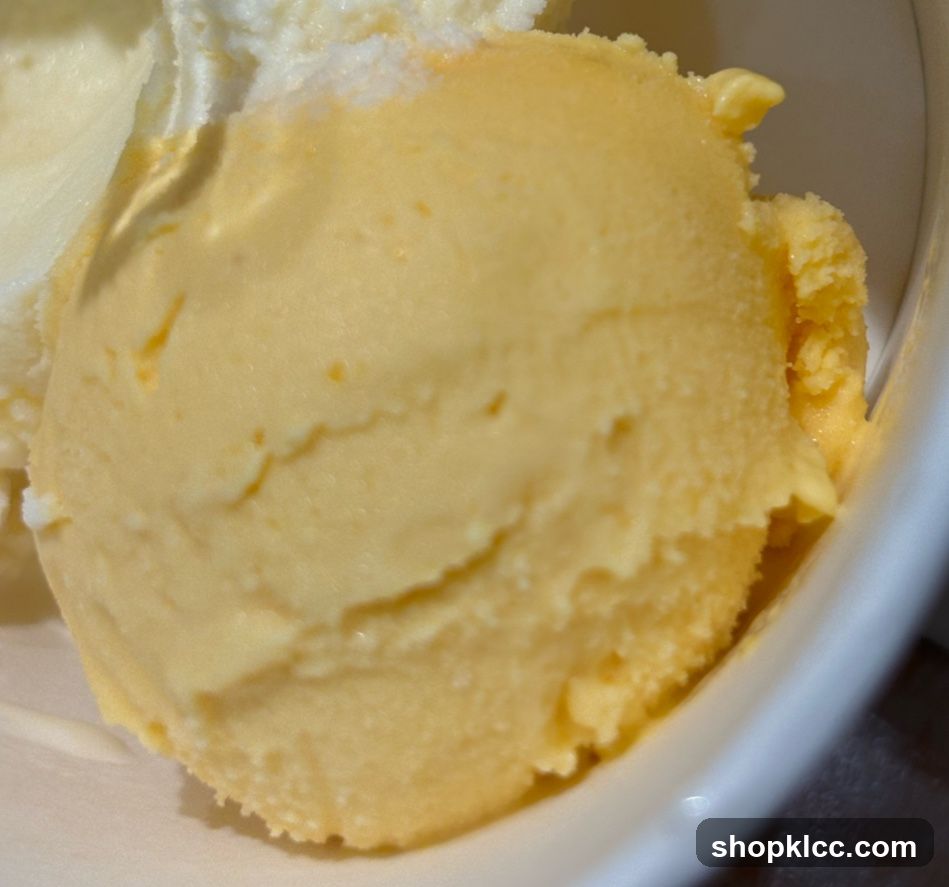 Ice Cream Scoops