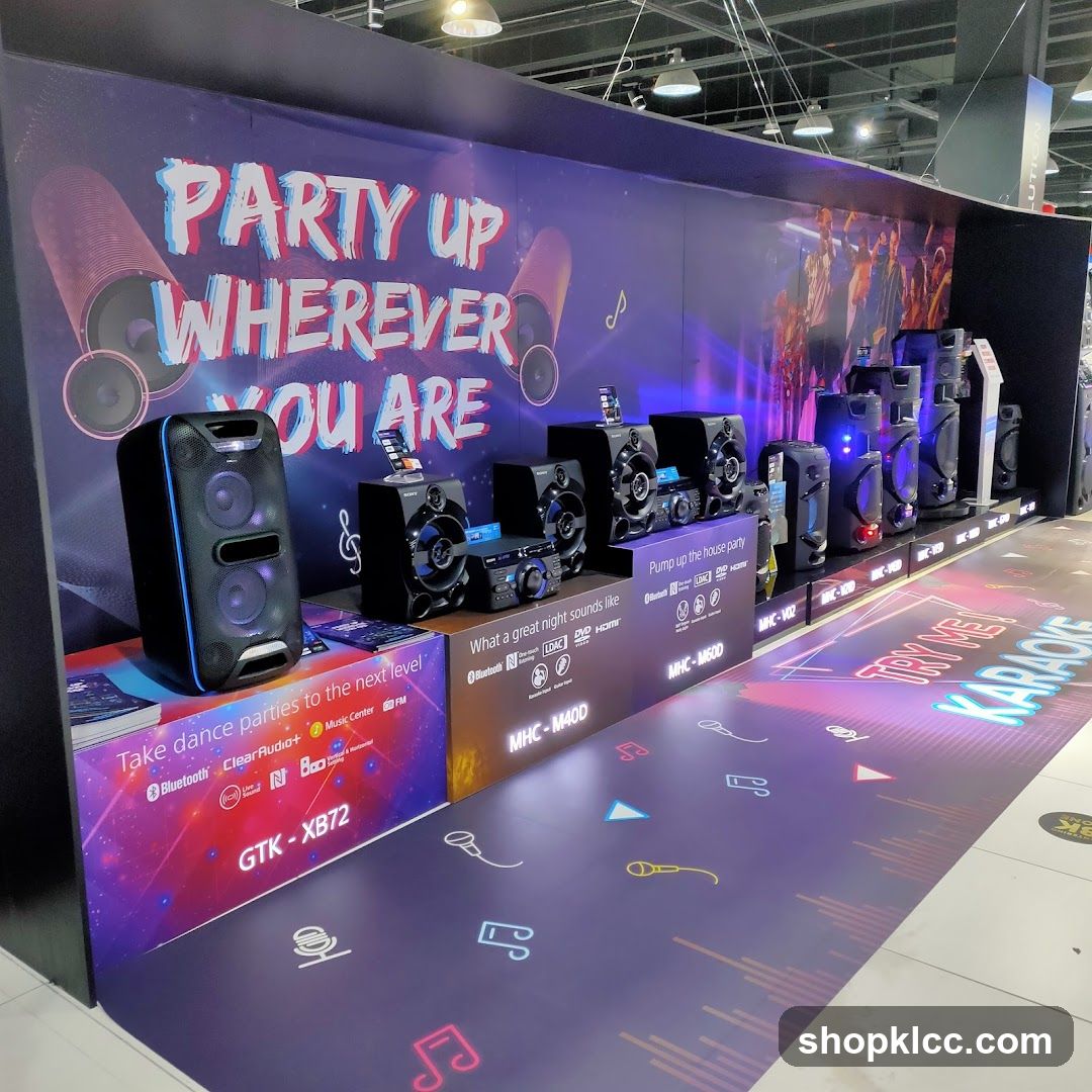 Sony Audio System Display