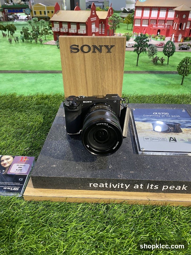 Sony Alpha Camera Display