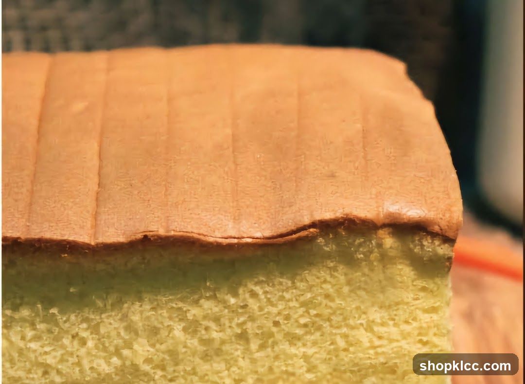 Close-up of a Sponge Cake