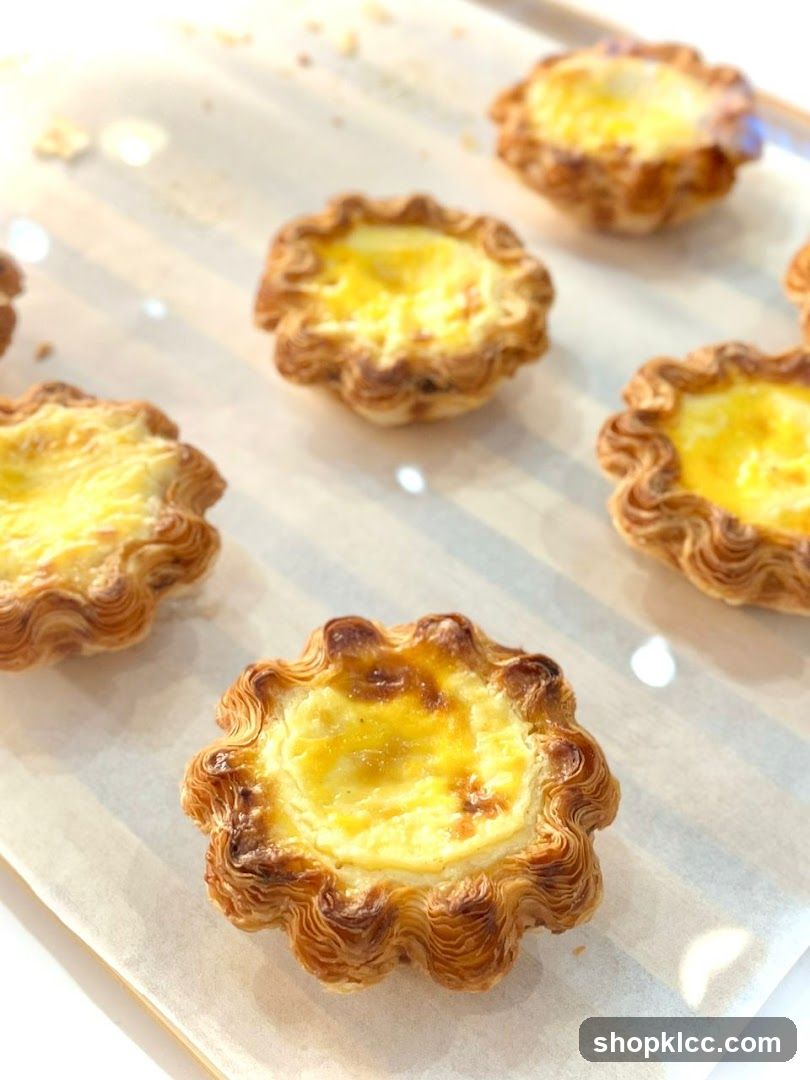 Egg Tarts