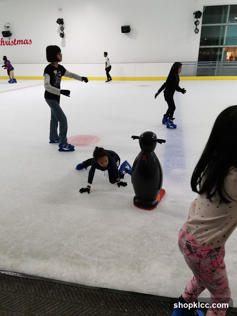 Ice Skating Rink