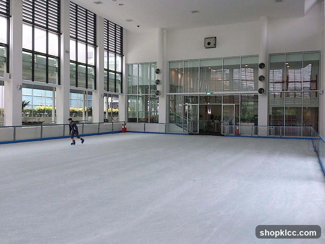 Ice Skating Rink