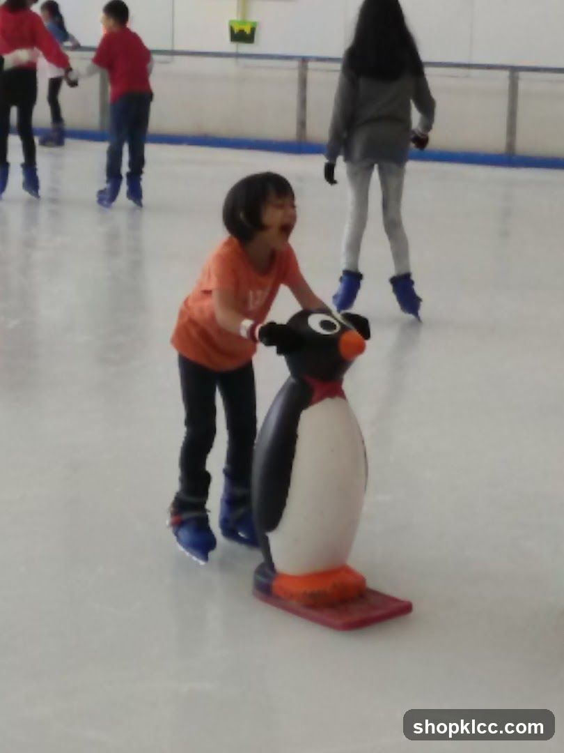 Ice Skating Fun