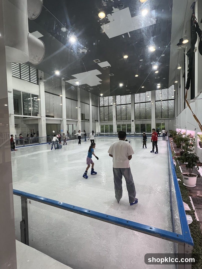 Ice Skating Rink