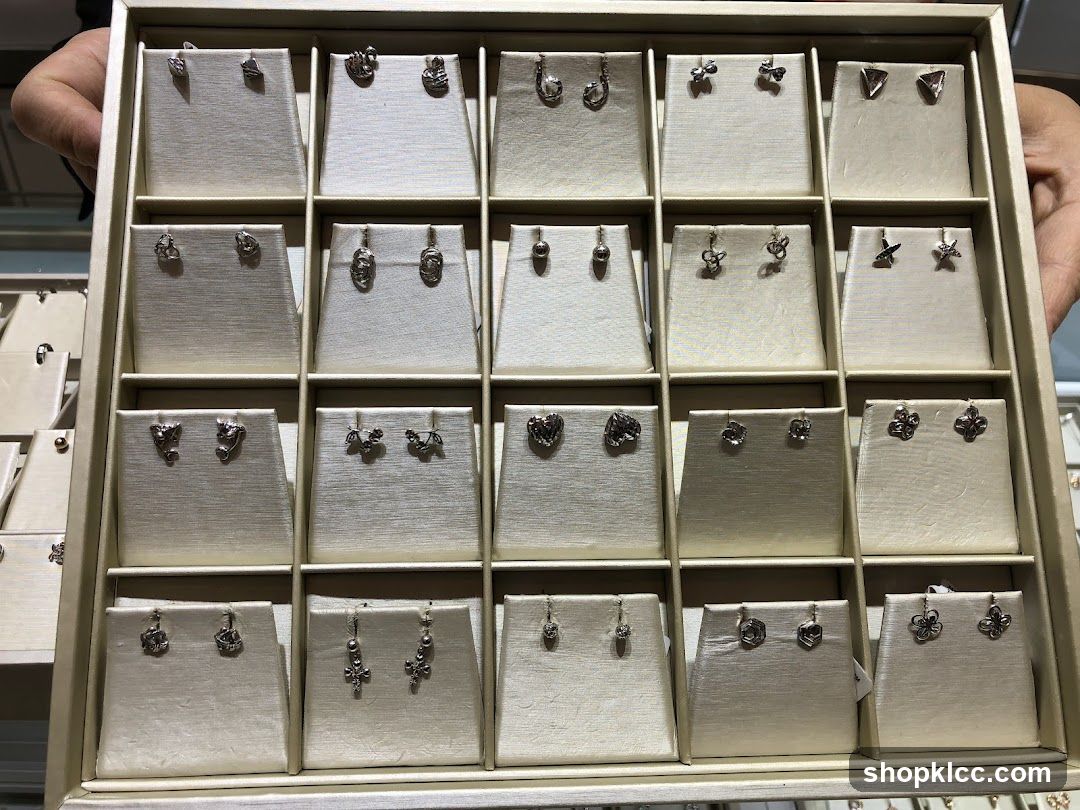 Earrings Display