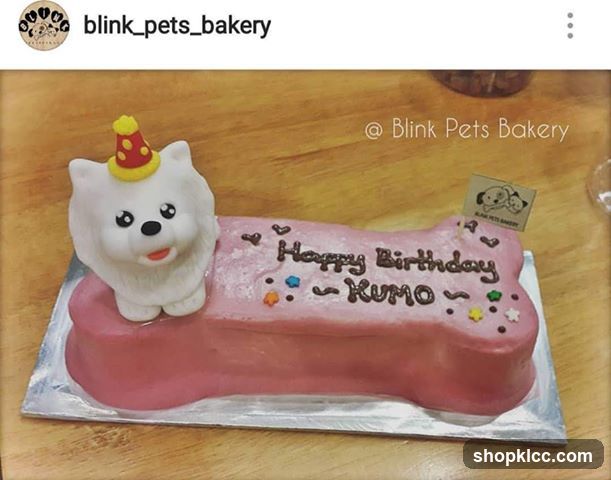 Blink Pets Bakery Cake