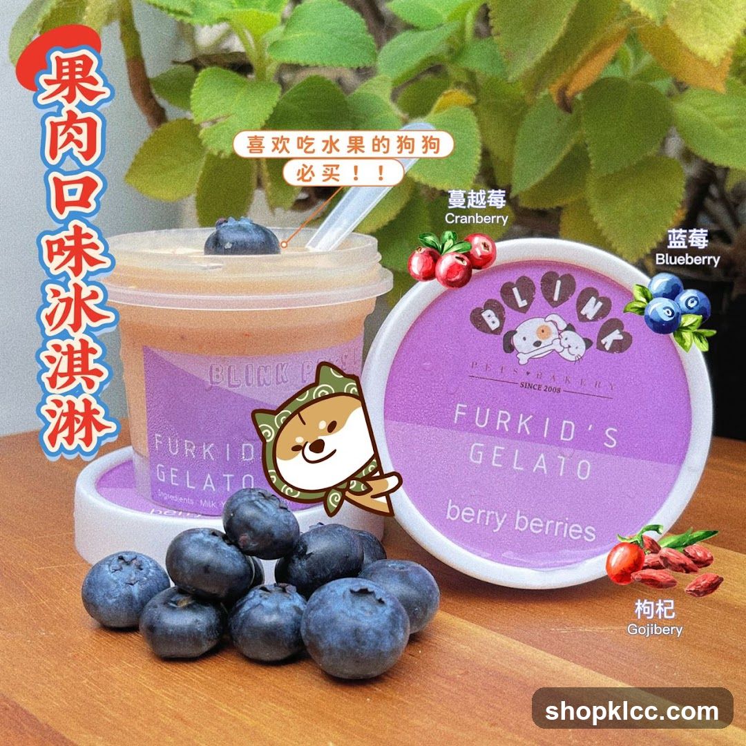 Furkid's Gelato Product Display