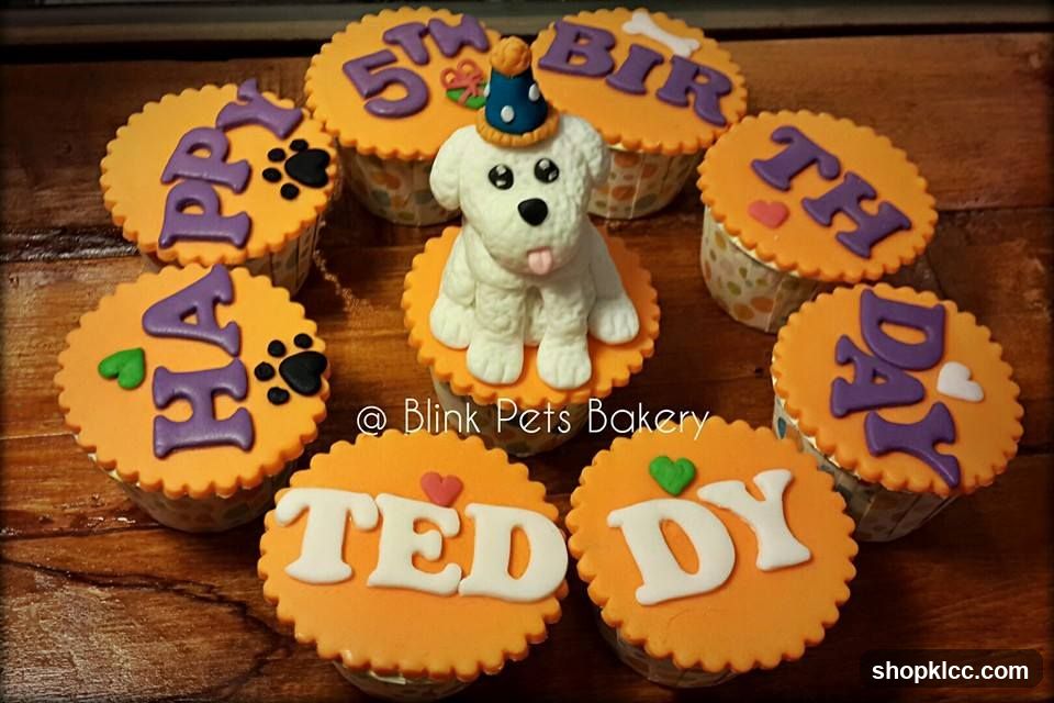 Teddy Cupcakes