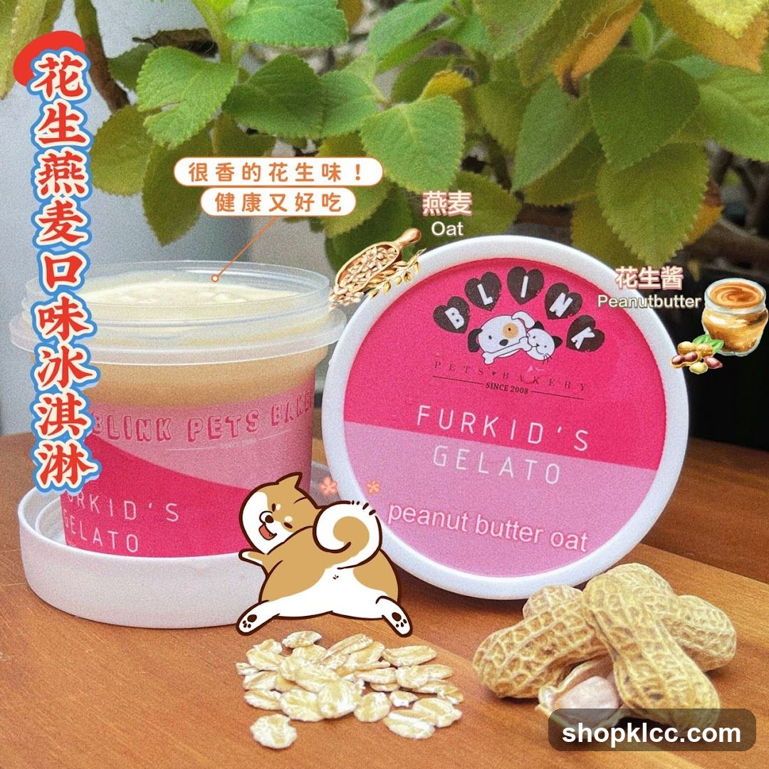 Peanut Oat Gelato Product Display