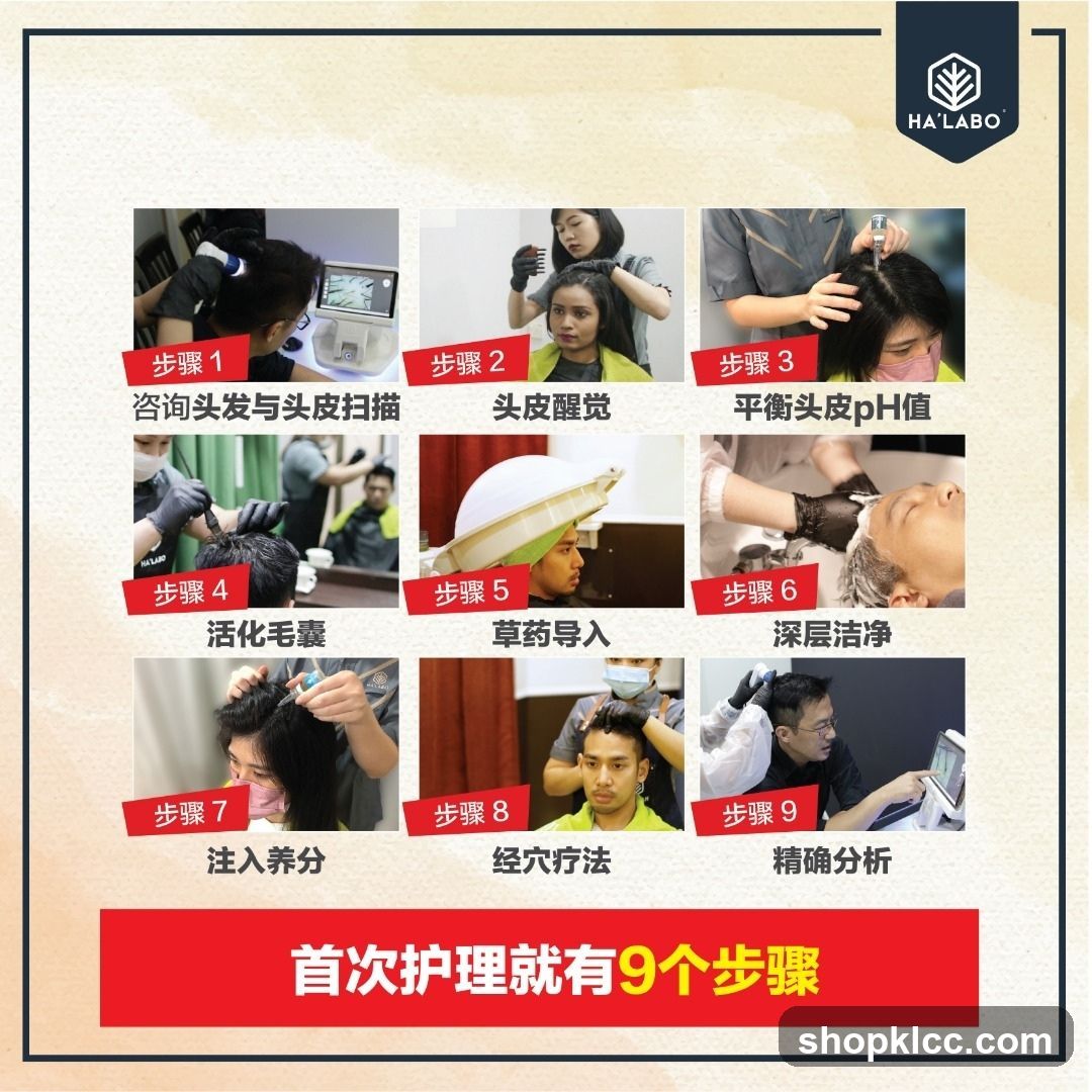 HA LABO Hair Care Process Infographic