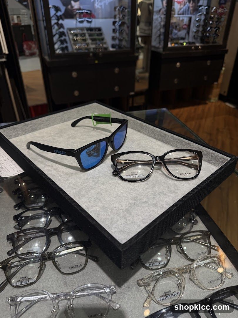 Eyeglasses and Sunglasses Display