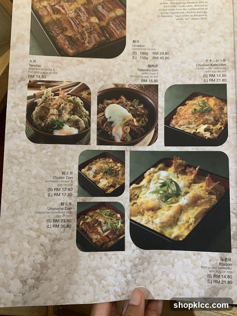 Donburi Menu