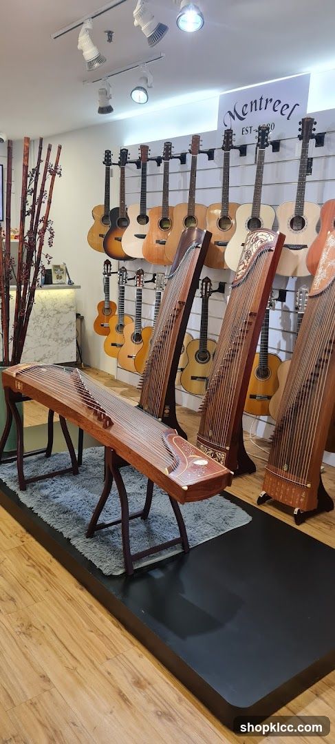 Musical Instrument Store Display