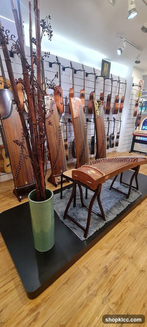 Musical Instrument Display