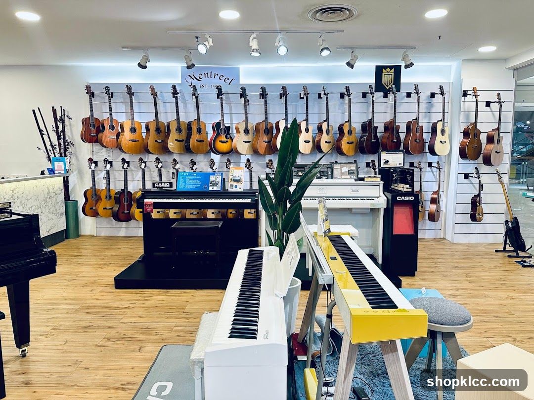 Musical Instrument Store