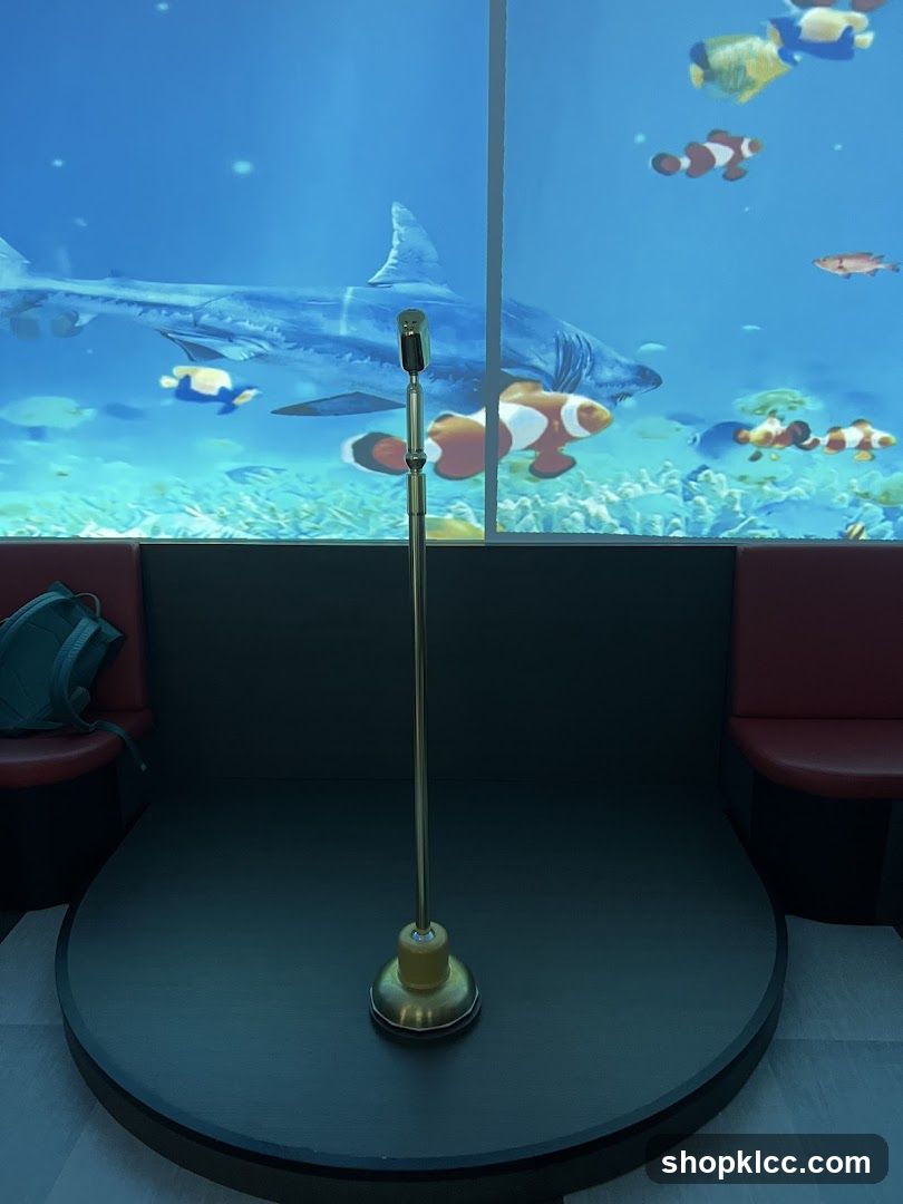 Microphone in front of underwater projection