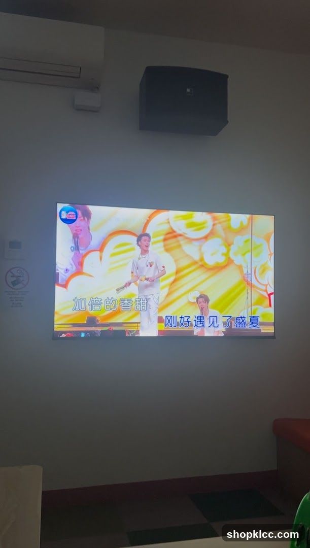 Karaoke Screen with Performers