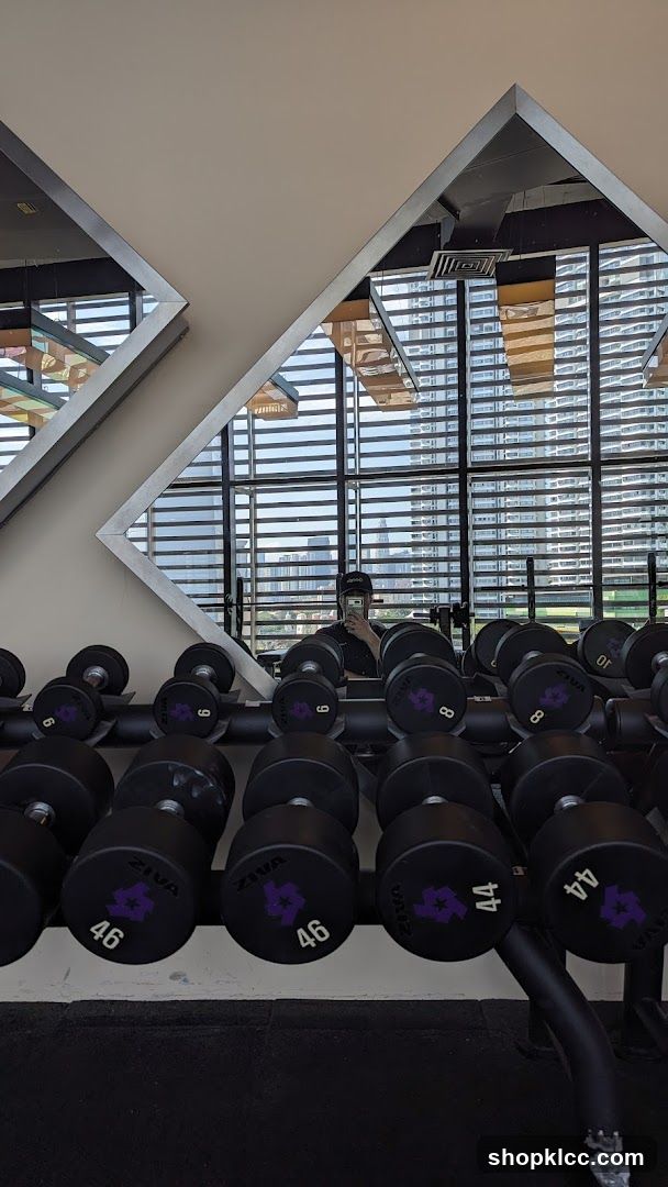 Gym Dumbbells