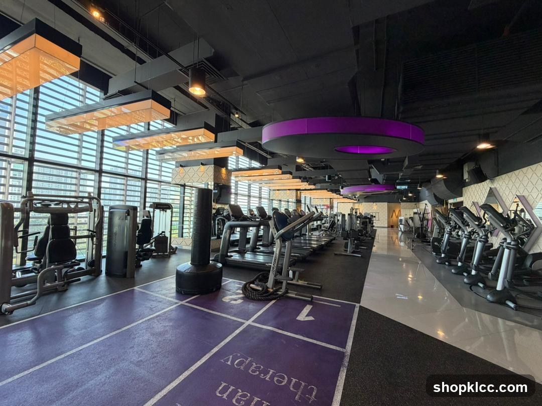 Modern Gym Interior