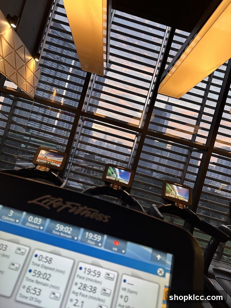 Gym Treadmills