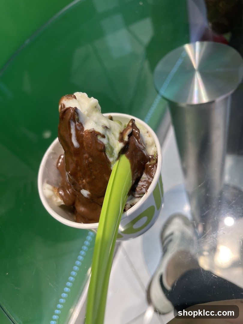Frozen Yogurt with Chocolate Topping