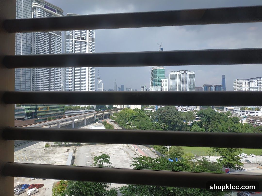 Cityscape through blinds