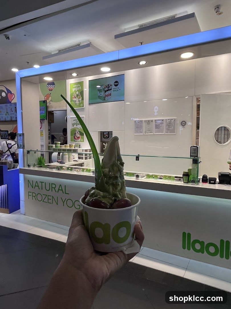 Natural Frozen Yogurt Shop
