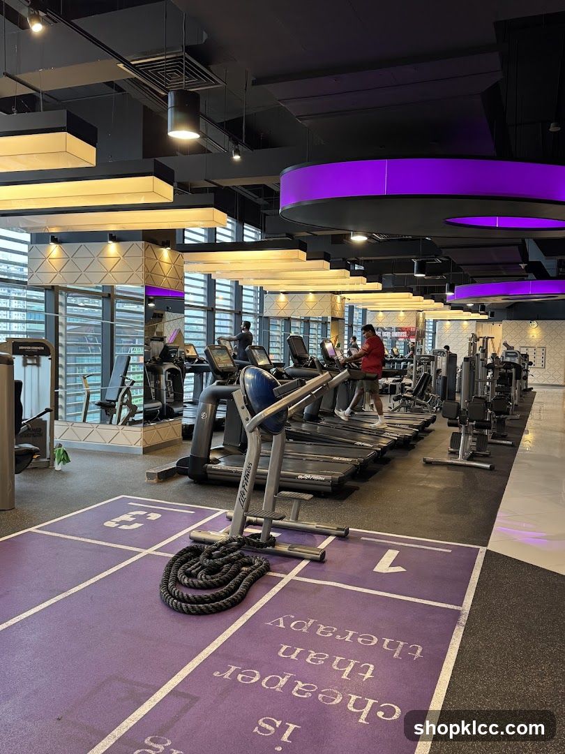 Gym Interior with Treadmills