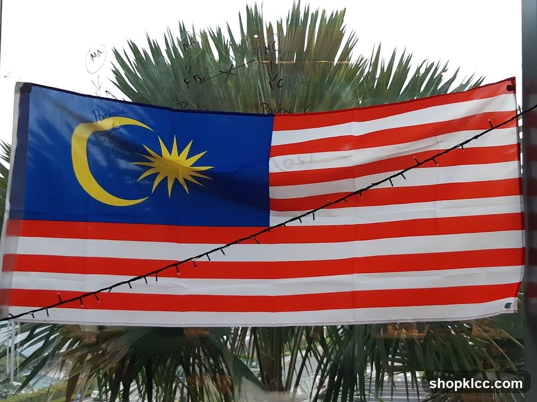 Malaysian Flag with Lights