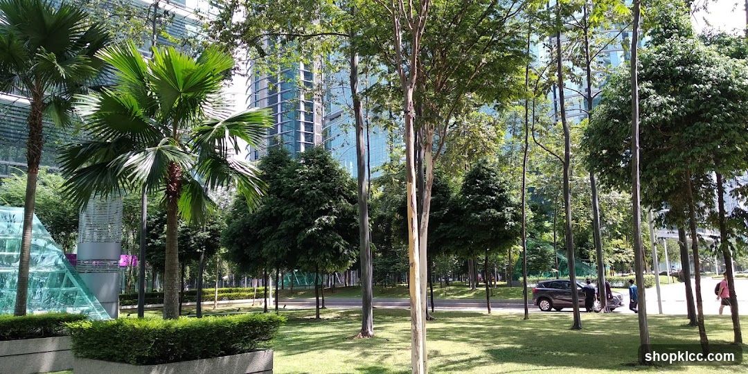 Park with Modern Buildings