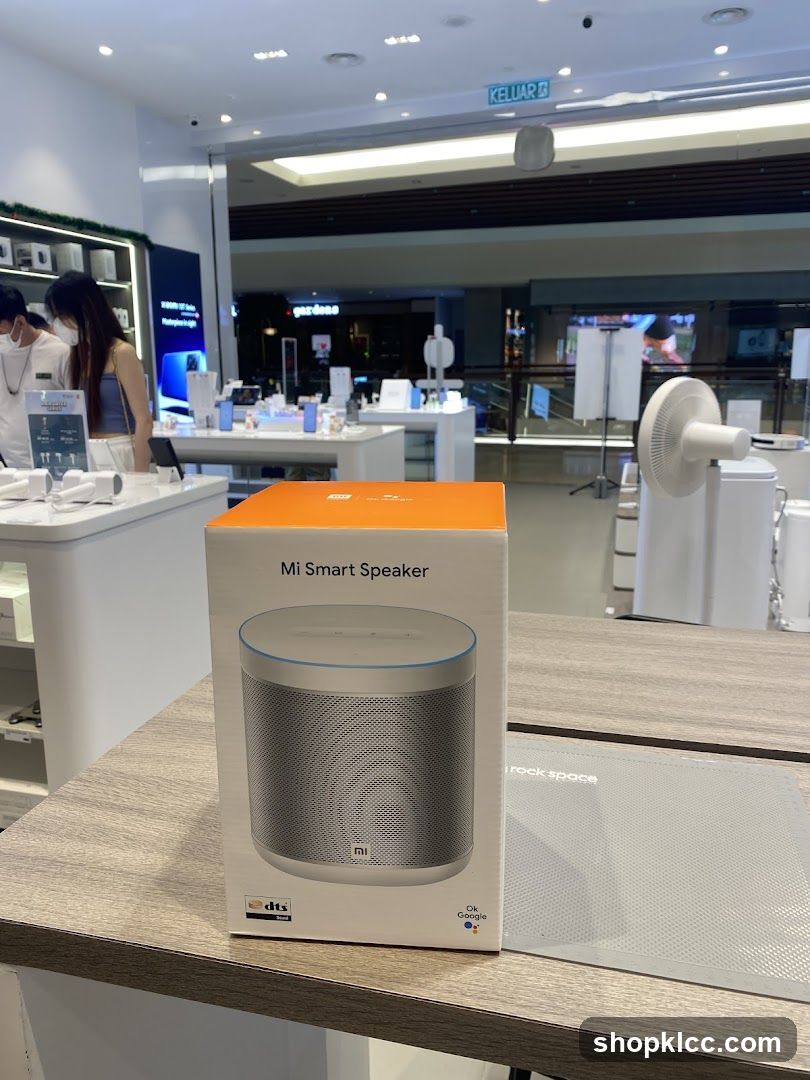 Mi Smart Speaker Box