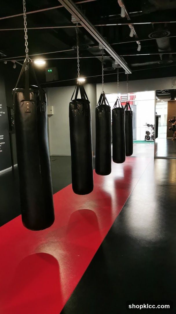 Gym Interior with Punching Bags