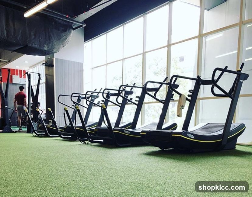 Gym Interior with Treadmills