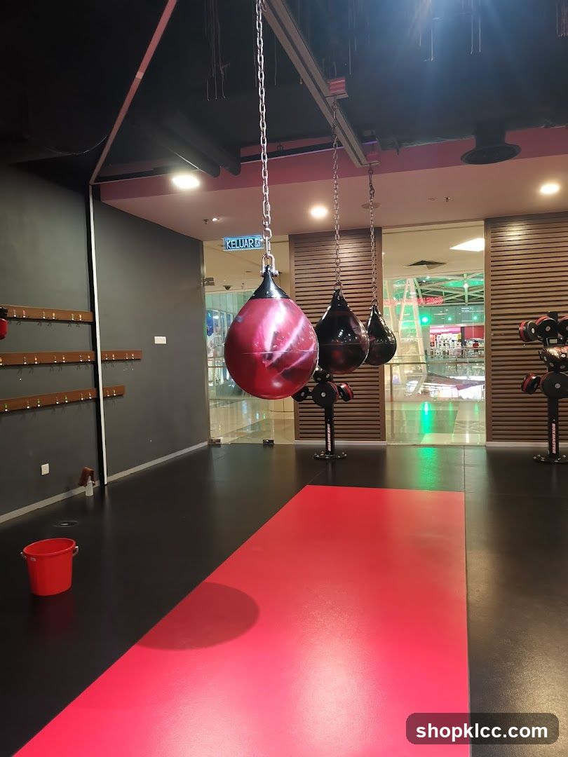 Gym Interior with Punching Bags