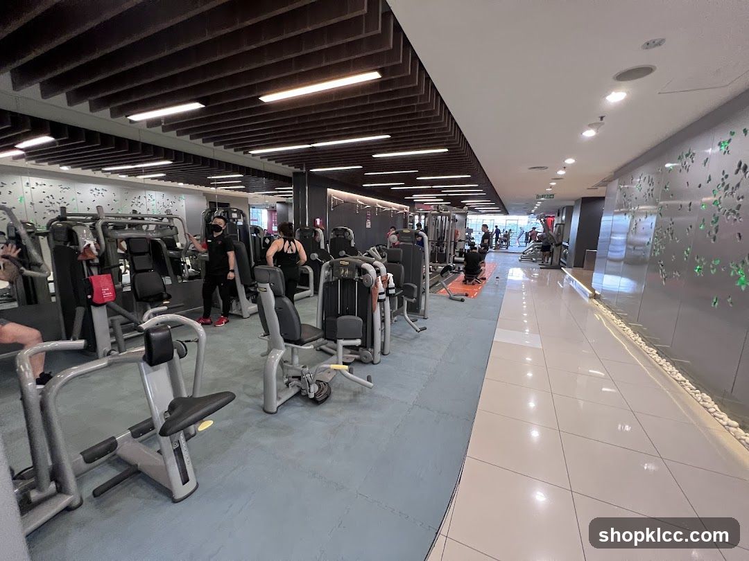 Gym Interior with Equipment and Members