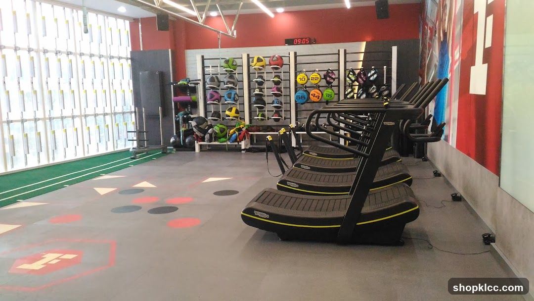 Gym Interior with Treadmills and Equipment