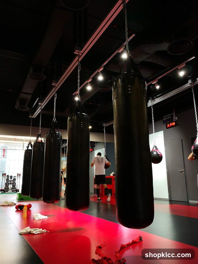 Gym Interior with Punching Bags