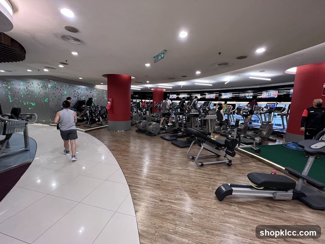 Gym Interior with Cardio Equipment