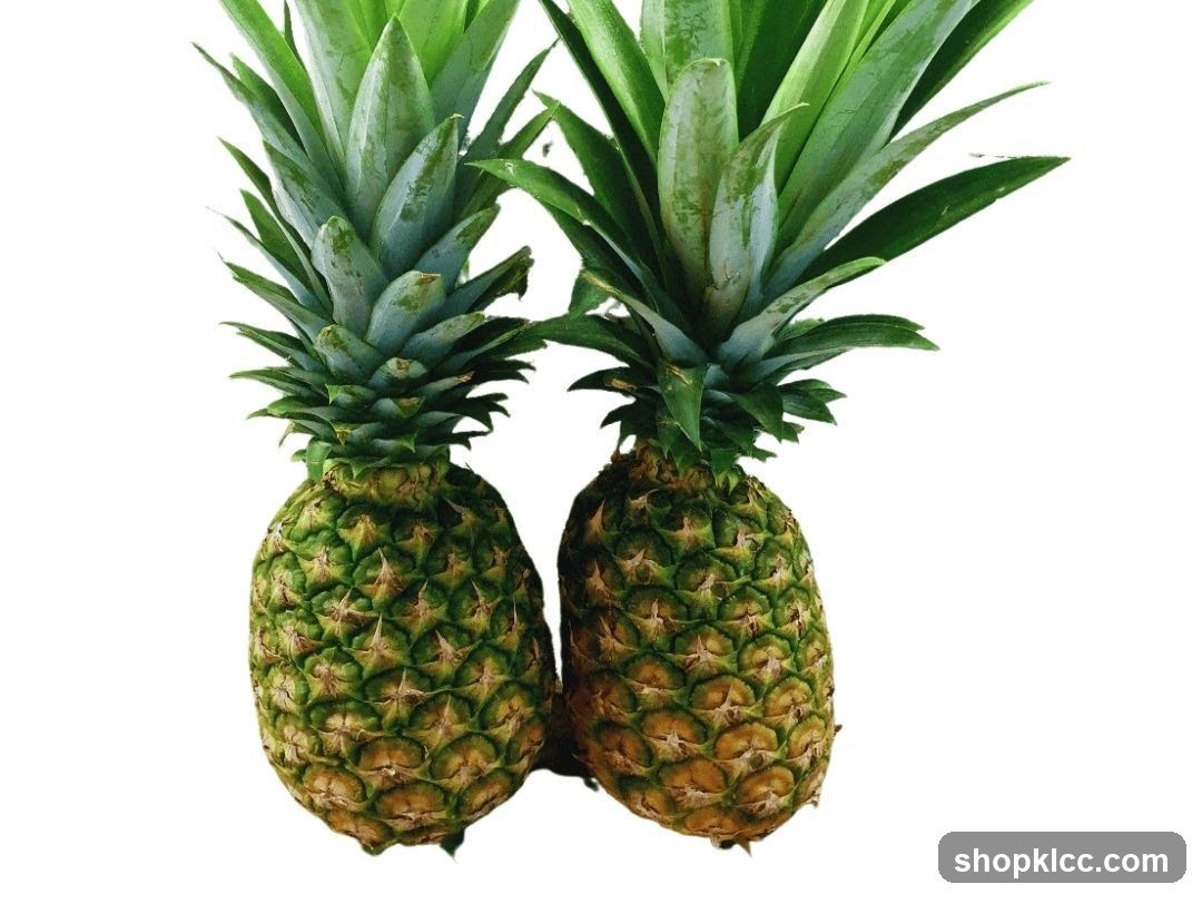Two Pineapples