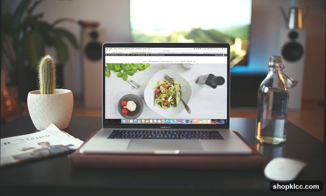Zahid Aramai (Freelancer Web Designer)