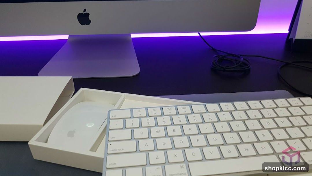 Zahid Aramai (Freelancer Web Designer)